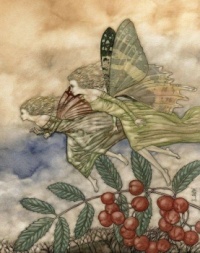 vintage fairy art, The Cherry Faeries