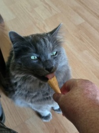 ...just a lick of ice cream