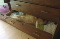 They'll never see me in here!