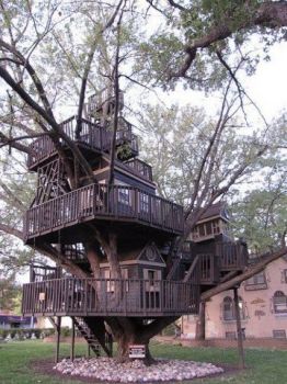 That's some treehouse!
