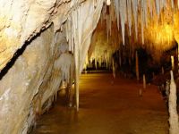 Hastings caves Tasmania