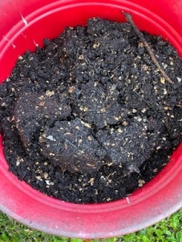 My compost