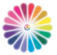 Flor multicolor