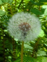 Blow me away