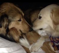 Brother and Sisterly Love