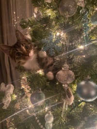 Best Decoration of all