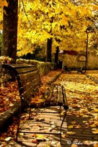 Autumn in Tuscany