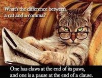 cat and comma