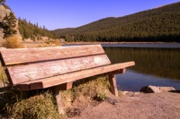Fall in Colorado 2