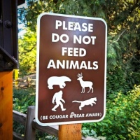 Do Not Feed the Bigfoot