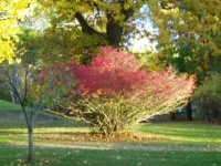 South Lawn at Sunset