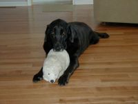 Younger Tika