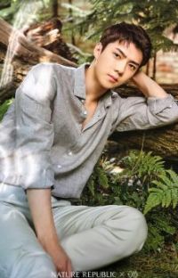 EXO SeHun