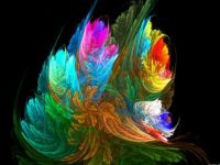 Colors (106)