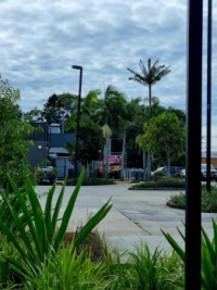 Scenery