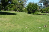 Cowra Japanese Gardens, New South Wales (51)