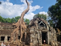 Angkor Wat