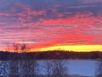 Winter Sunset