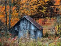 Vermont-autumn-shack