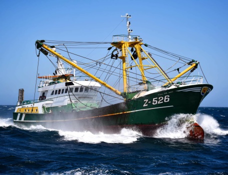 Solve ‘Z-526 Vaya Con Dios jigsaw puzzle online with 414 pieces