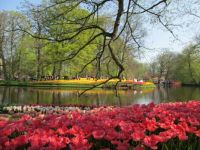 Keukenhof Gardens 8