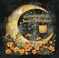 Good night sweet dreams!!😴💤🌘💤🌠🌟🌟🌟