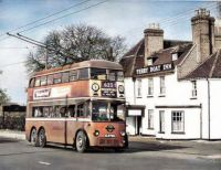 Trolley Bus