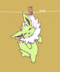 jolteon