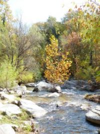 Stream by Chimney Rock - North Carolina