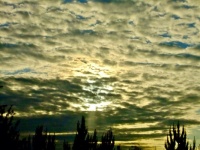 Cloudscapes