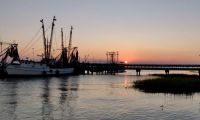 Shrimp boats South Carolina