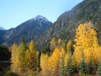 the Duffy in the fall