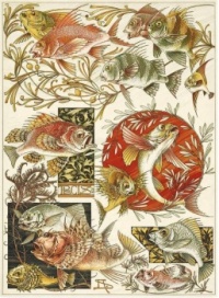 Anton Seder - Fantastic Fishes - Art nouveau motifs and design elements.