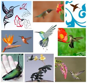Hummingbirds for Roxanne!