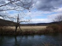 NY State Parks