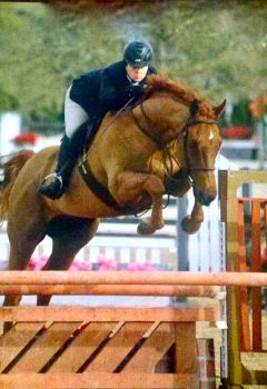 Low Hunter HITS Ocala