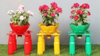 Flowerpot containers.