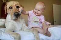 awesome_photos_41