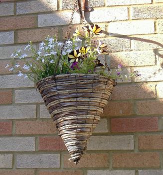Garden - This Year's Hanging Baskets 1