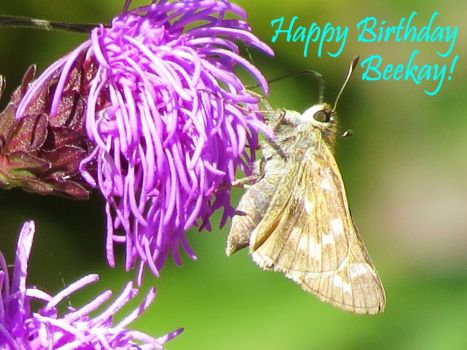 Happy Birthday, Beekay!
