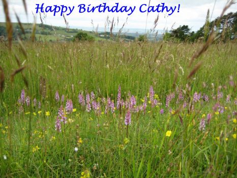 Happy Birthday Cathy (cevas)