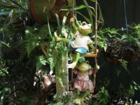 frog swinging