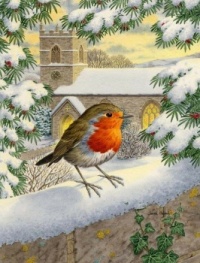 Seasonal Art - Winter - Birds - Robin & Church