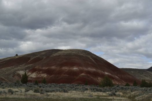 A Painted Hill