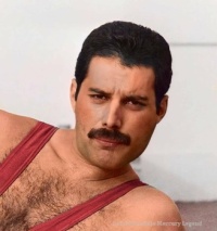 Freddie