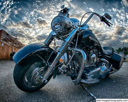 Harley Davidson by Bruce Lee