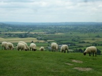 View from Glastonbury Tor. 1