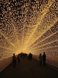 Tunnel of Lights, Japan