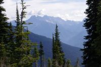 On Mount Revelstoke