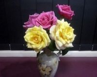 Roses in a vase